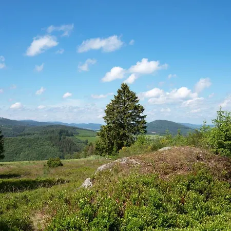 Ferienhaus Am Suedwall, 220qm *