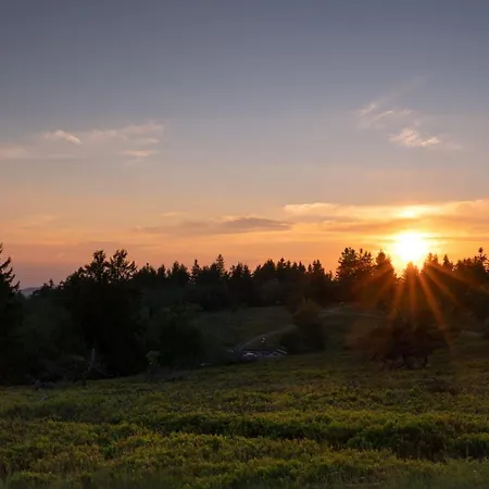 Suedlicht Mit Garten