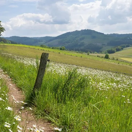 Am Suedwall Links بيت للعطل