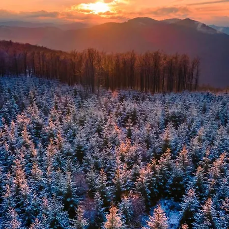 Ferienhaus Am Suedwall Links *