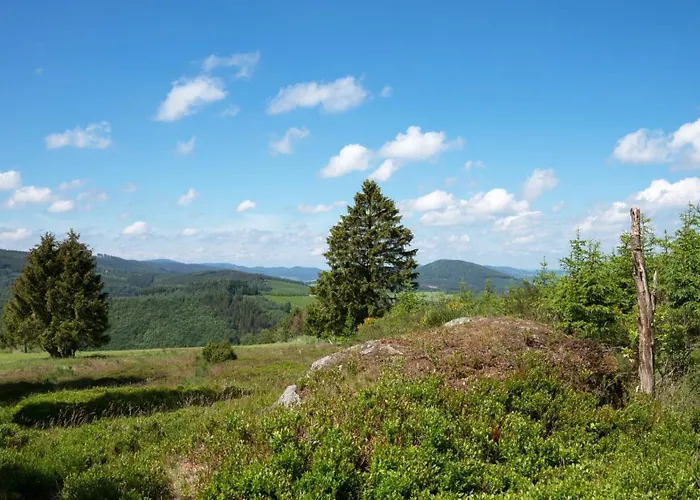 Hébergement de vacances Am Suedwall Links *