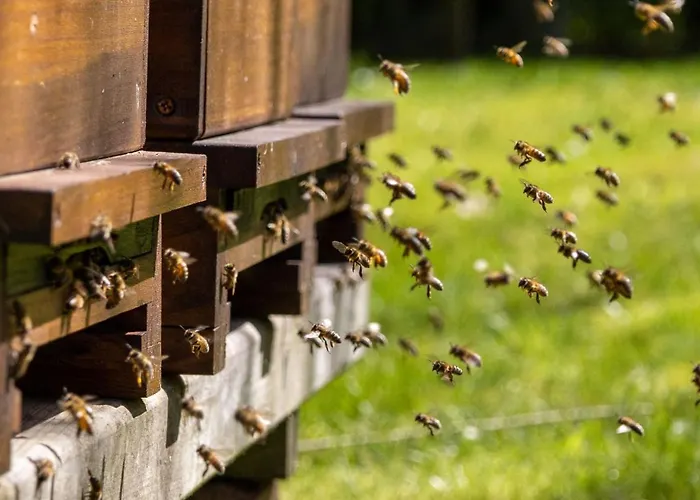 Am Suedwall Links Hébergement de vacances